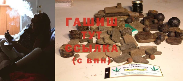 гашик Алексин