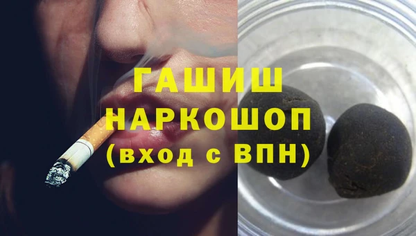 гашик Алексин