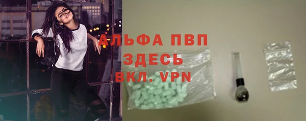 гашик Алексин