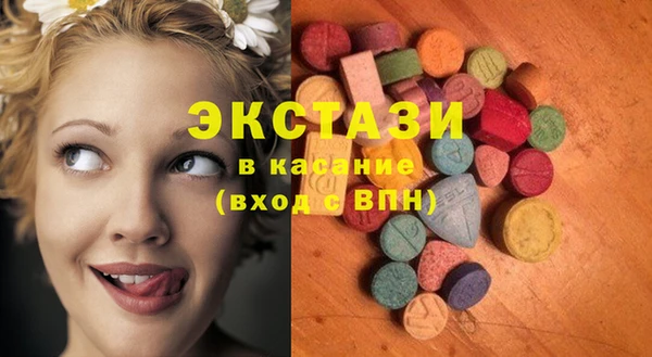 гашик Алексин