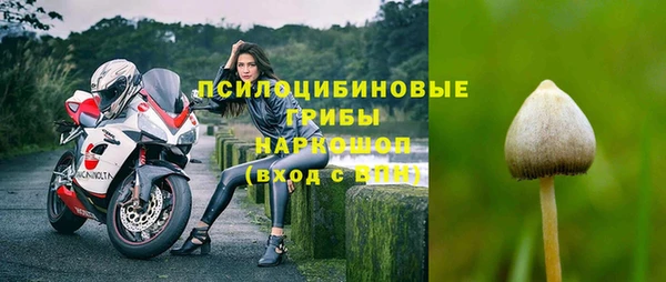 mdpv Алзамай