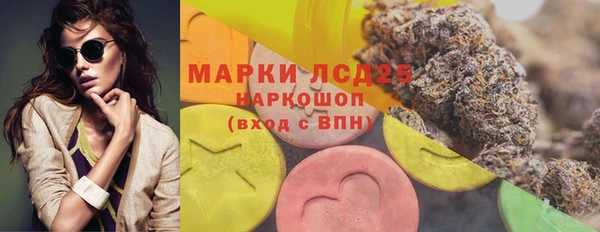 гашик Алексин