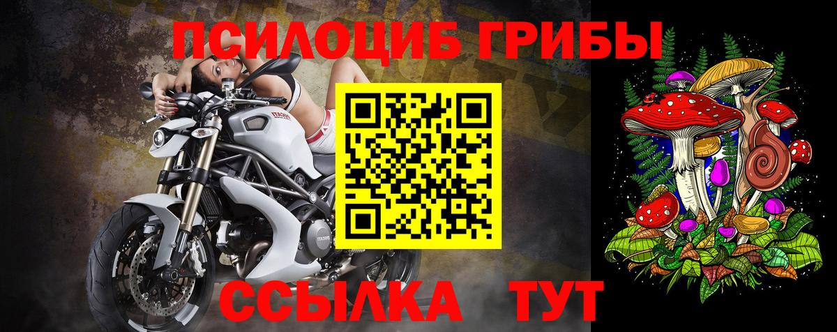 Дедовск  Псилоцибиновые грибы GOLDEN TEACHER  Вход с VPN 